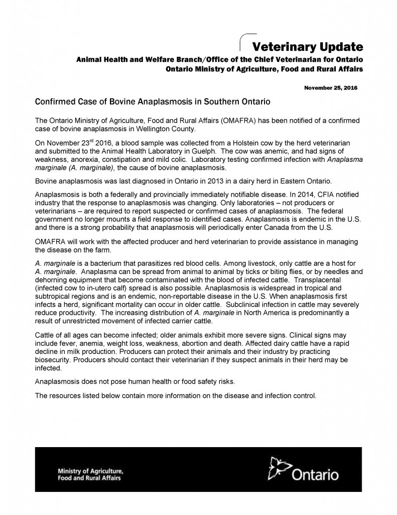 Confirmed Case of Bovine Anaplasmosis in Southern Ontario – Ontario