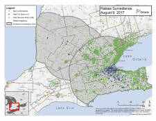 Ontario Rabies Surveillance Map - August 9, 2017