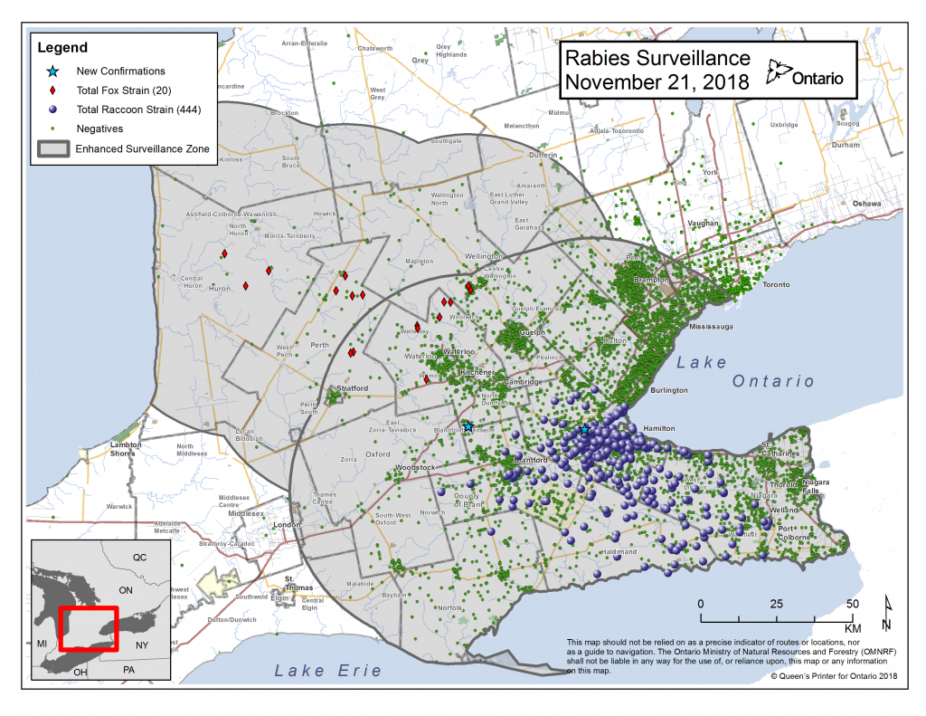 rabies update - Nov 28 2018