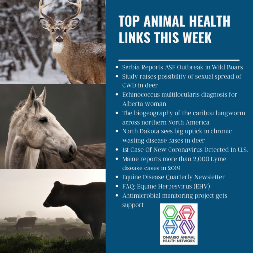 Top Animal Health Links Jan 2026 Ontario Animal Health Network