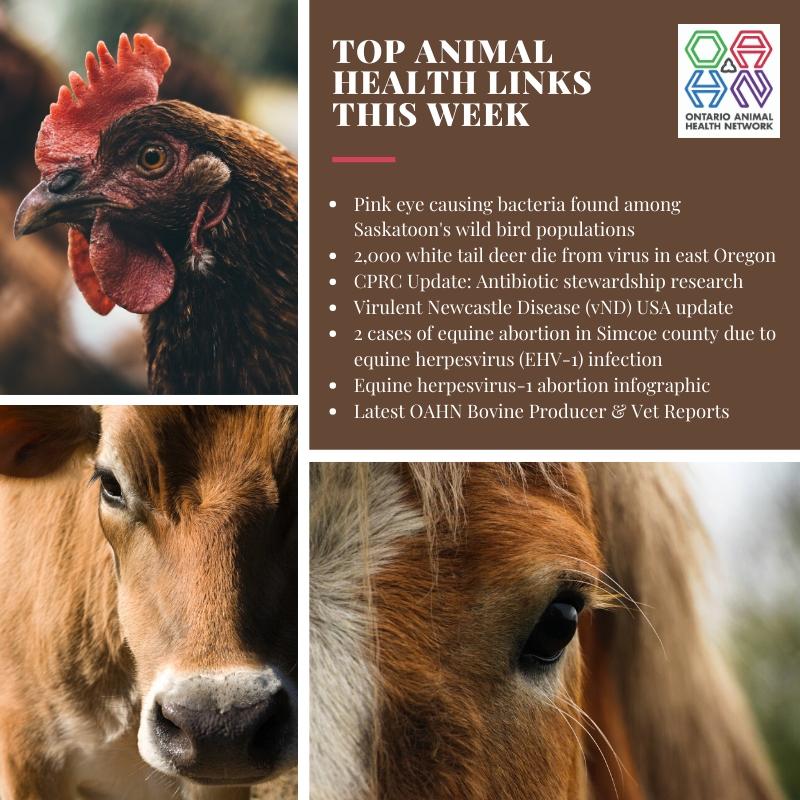 Top Animal Health Links List for OAHN Jan 14-19