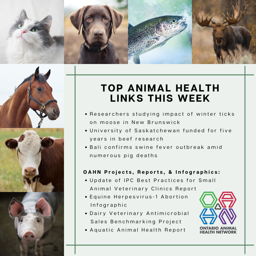 Top Animal Health Links (Feb 39) Ontario Animal Health Network