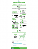 2019 Q4 infographic_Equine