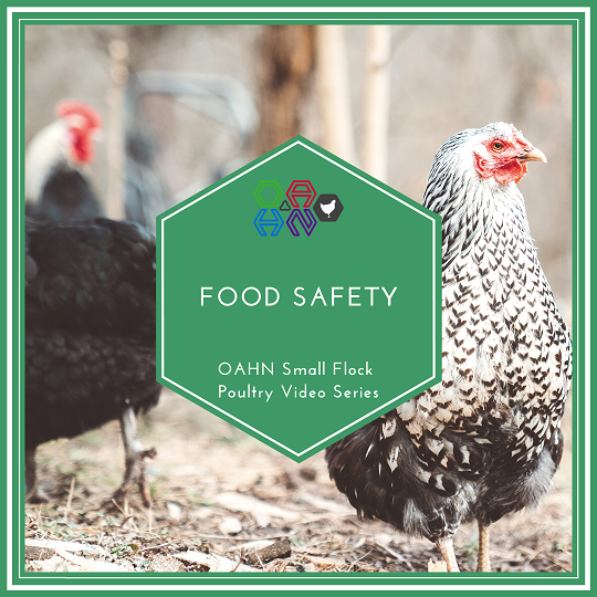 Food Safety for Flock Owners