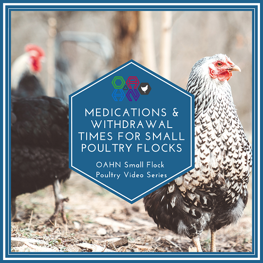 Medications and Withdrawal Times for Flock Owners