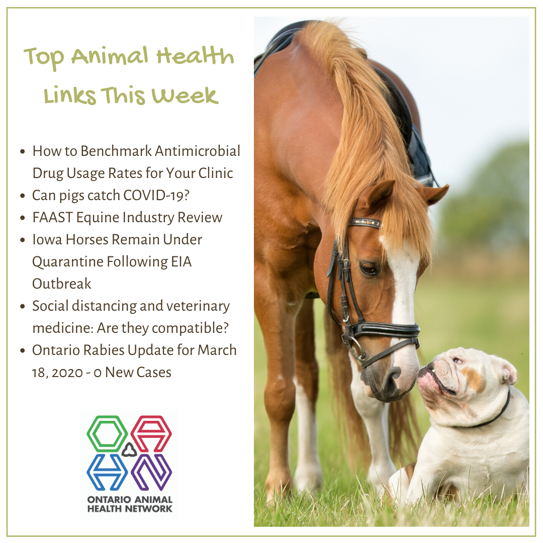 Top Animal Health Links (March 23-29) - Ontario Animal Health Network