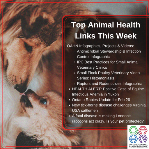 Top Animal Health Links (Feb 24 March 1) Ontario Animal Health Network