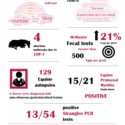 2020 Q1 infographic f