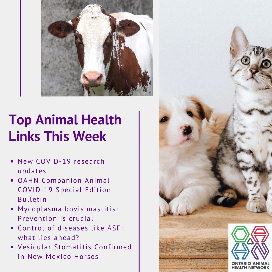 Top Animal Health Links (April 27-May 3) - Ontario Animal Health Network