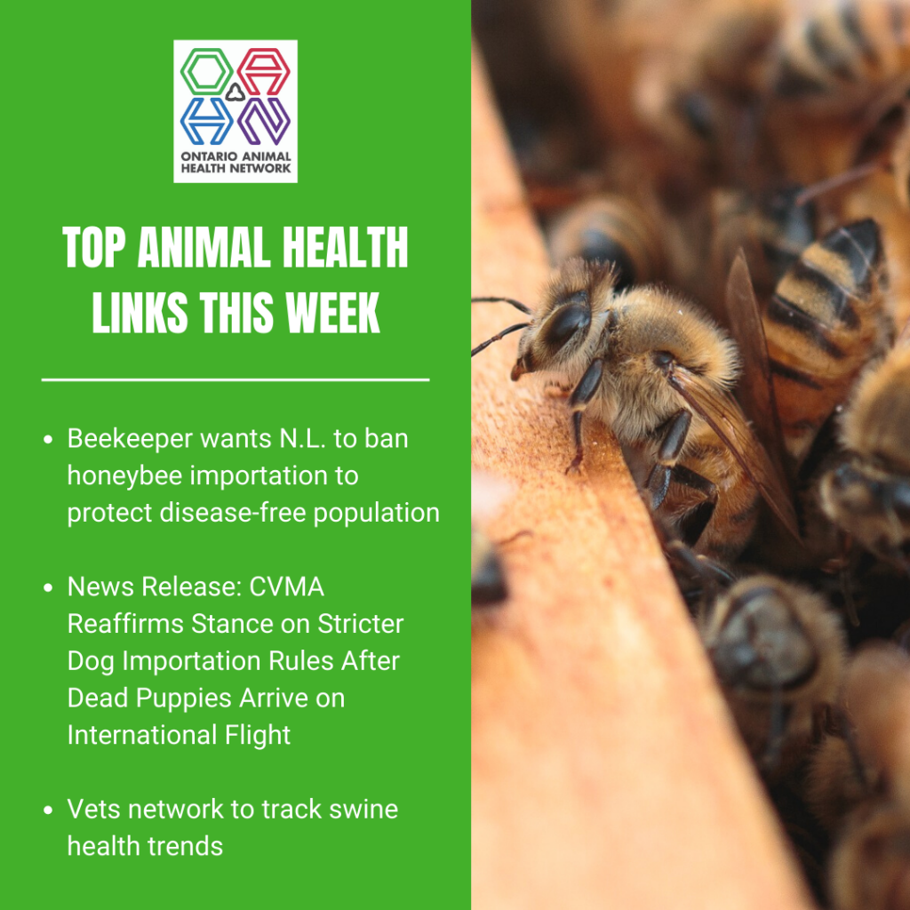 Top Animal Health Links (June 2228) Ontario Animal Health Network
