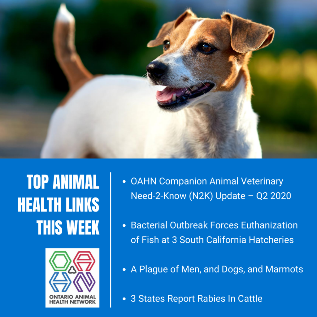 Top Animal Health Links (July 27Aug 2) Ontario Animal Health Network