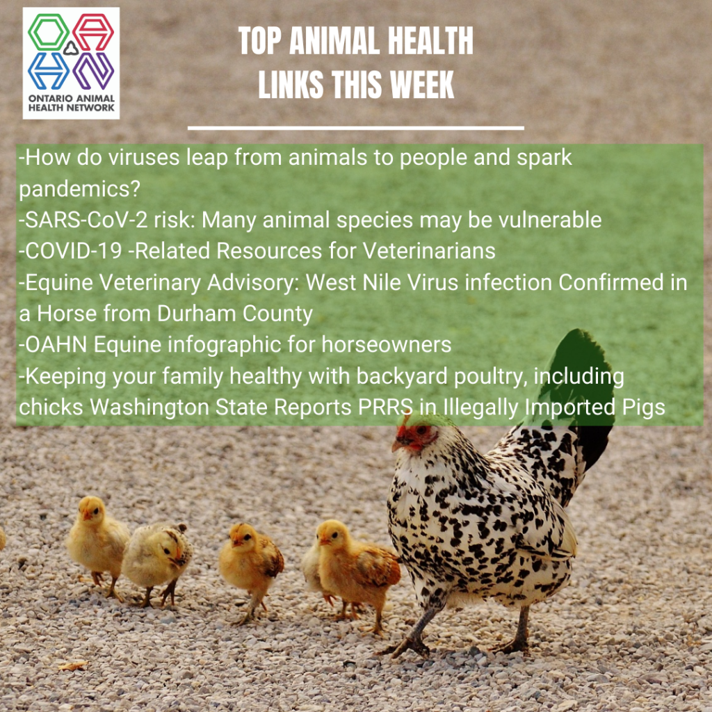 Top Animal Health Links (Sep 7 13) Ontario Animal Health Network