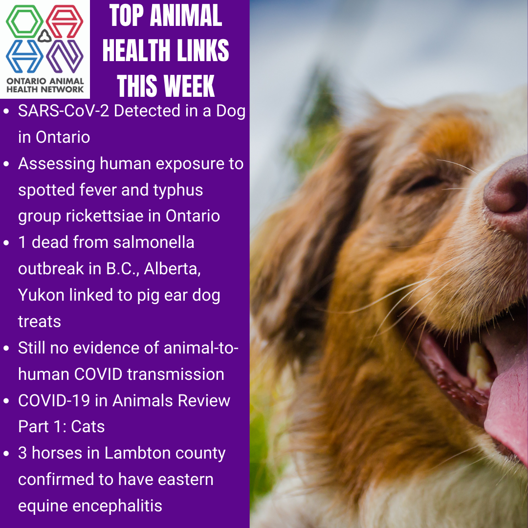 Top Animal Health Links (Oct 19 - 25) - Ontario Animal Health Network