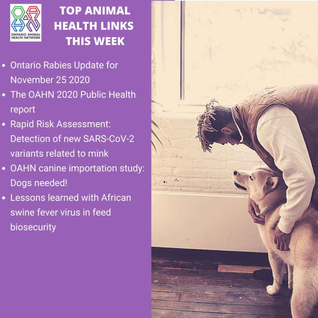 Top Animal Health Links (Nov 2329) Ontario Animal Health Network