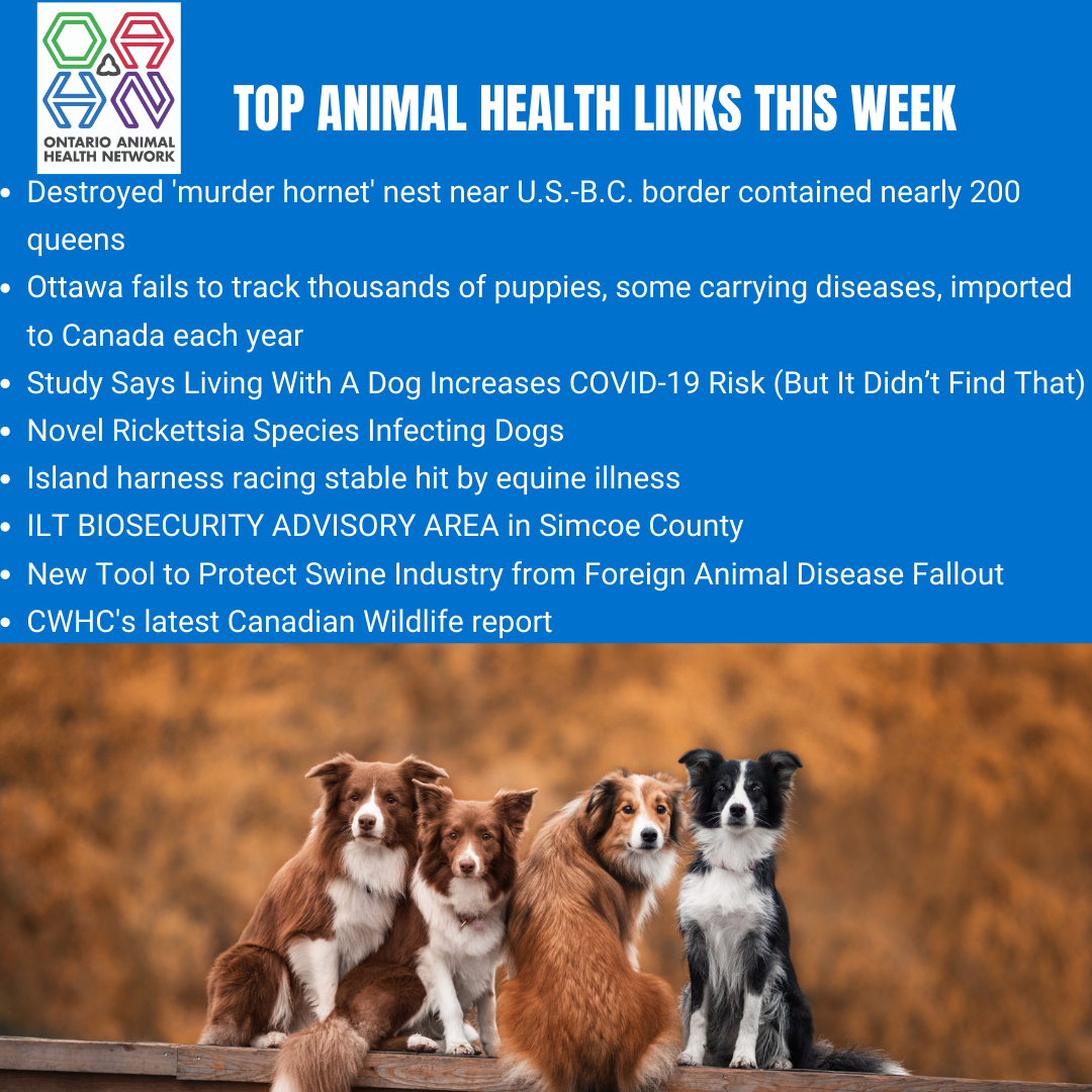 Top Animal Health Links (Nov 16-22) - Ontario Animal Health Network