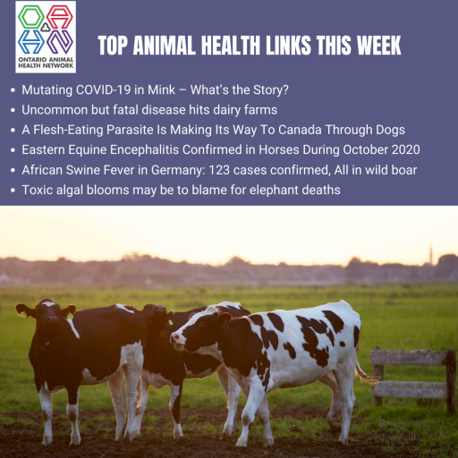 Top Animal Health Links (Nov 9 15) Ontario Animal Health Network