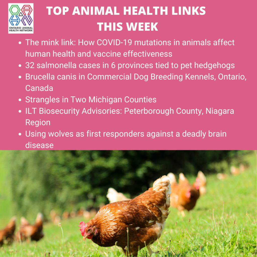 Top Animal Health Links (Nov 30 Dec 6) Ontario Animal Health Network