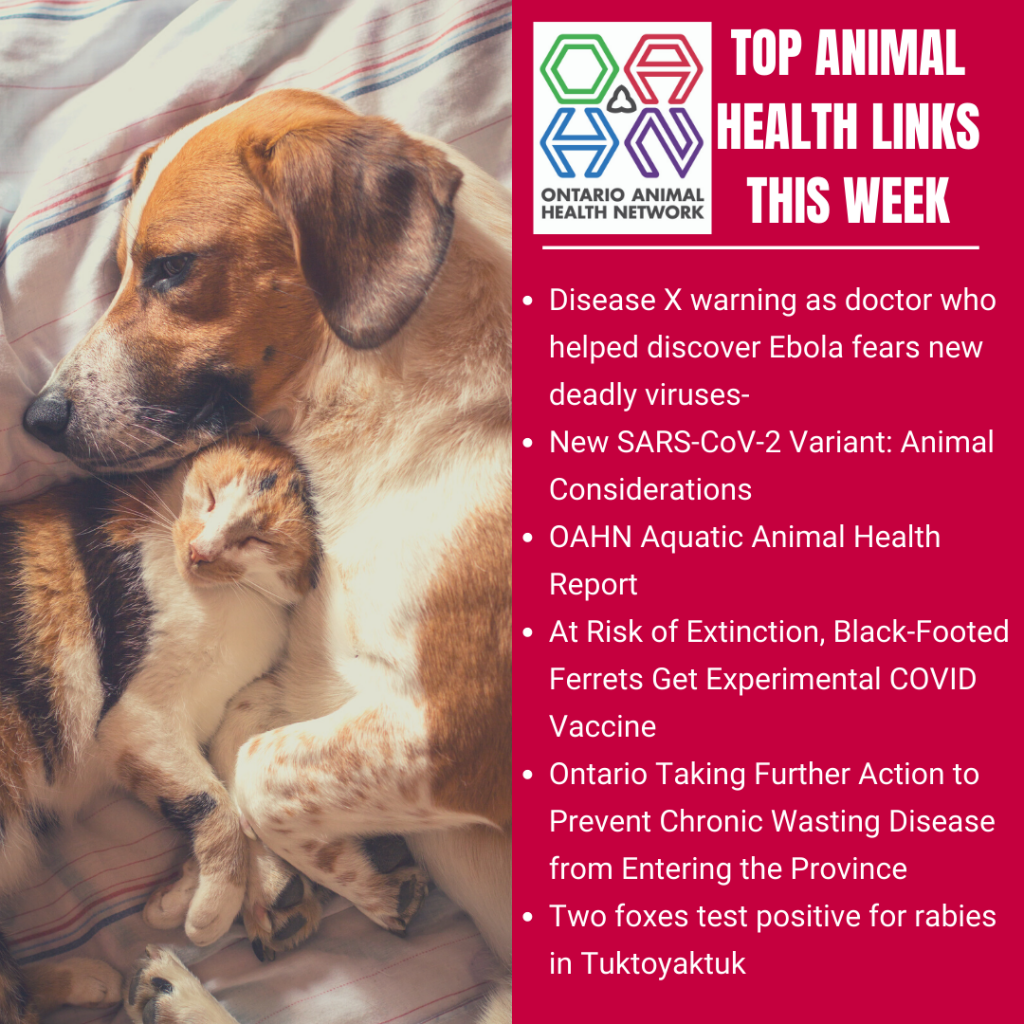 Top Animal Health Links (Jan 18-24) - Ontario Animal Health Network