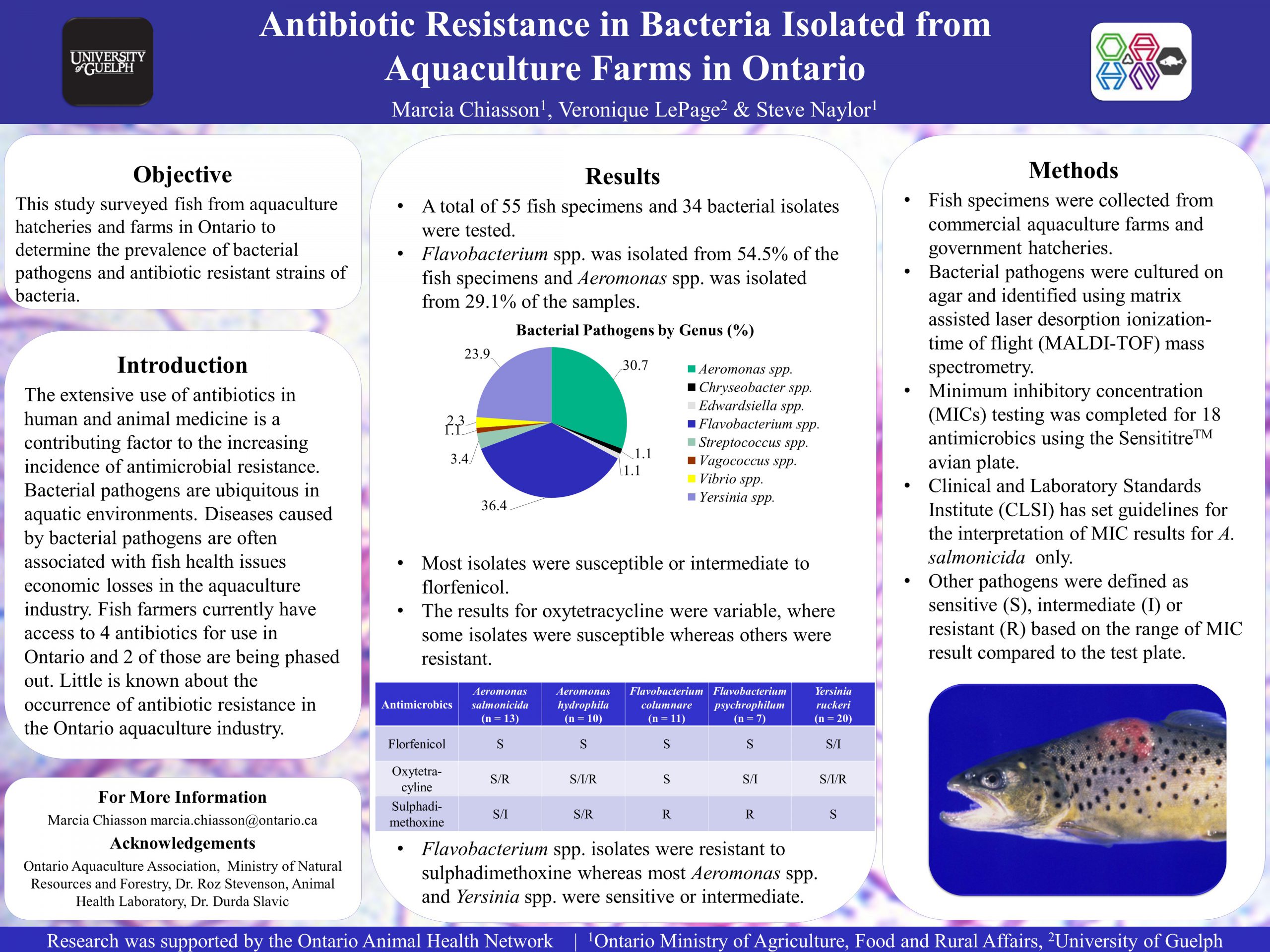 Fish poster for research project on Antibiotic resistance in Ontario aquaculture