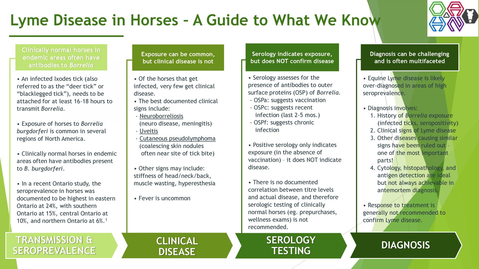 Infographic Lyme Disease in Horses A Guide to What We Know Ontario