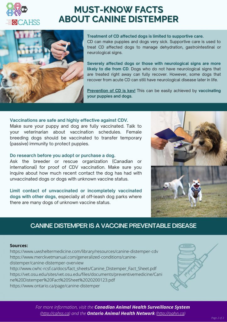 Infographic: Must Know Facts About Canine Distemper - Ontario Animal ...