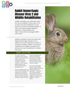 Image version of page from Rabbit hemorrhagic disease virus info sheet. also available in PDF on this page.