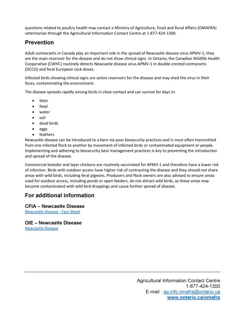 Omafra Bat Risk Veterinary advisory: Newcastle disease (OMAFRA) - Ontario Animal Health ...