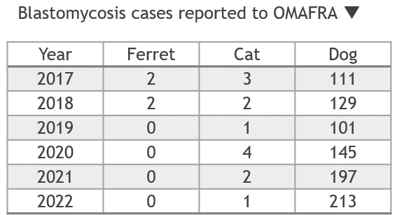 Table with Ontario blastomycosis cases reported to OMAFRA