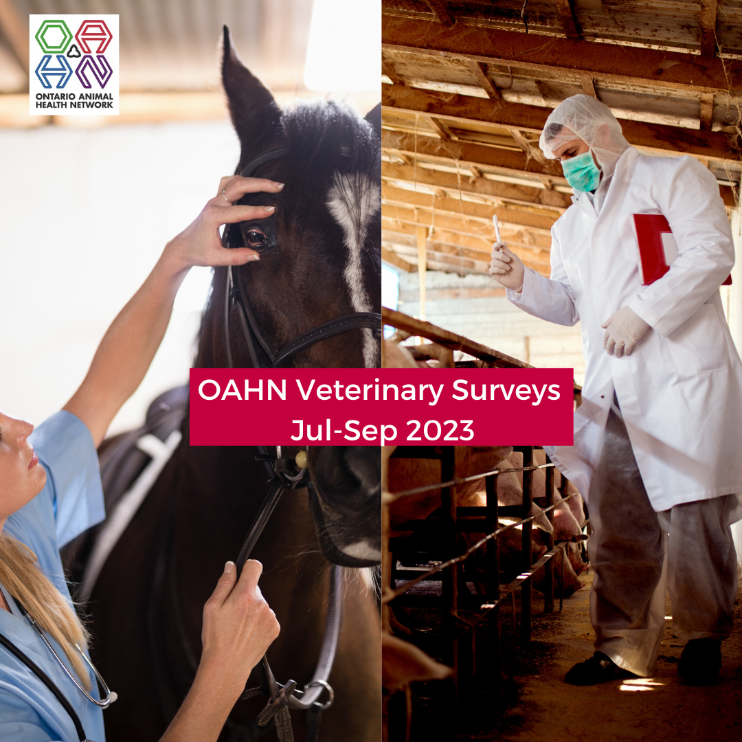 Q3 2023 Veterinary Surveys for Ontario Practitioners (Equine, Swine