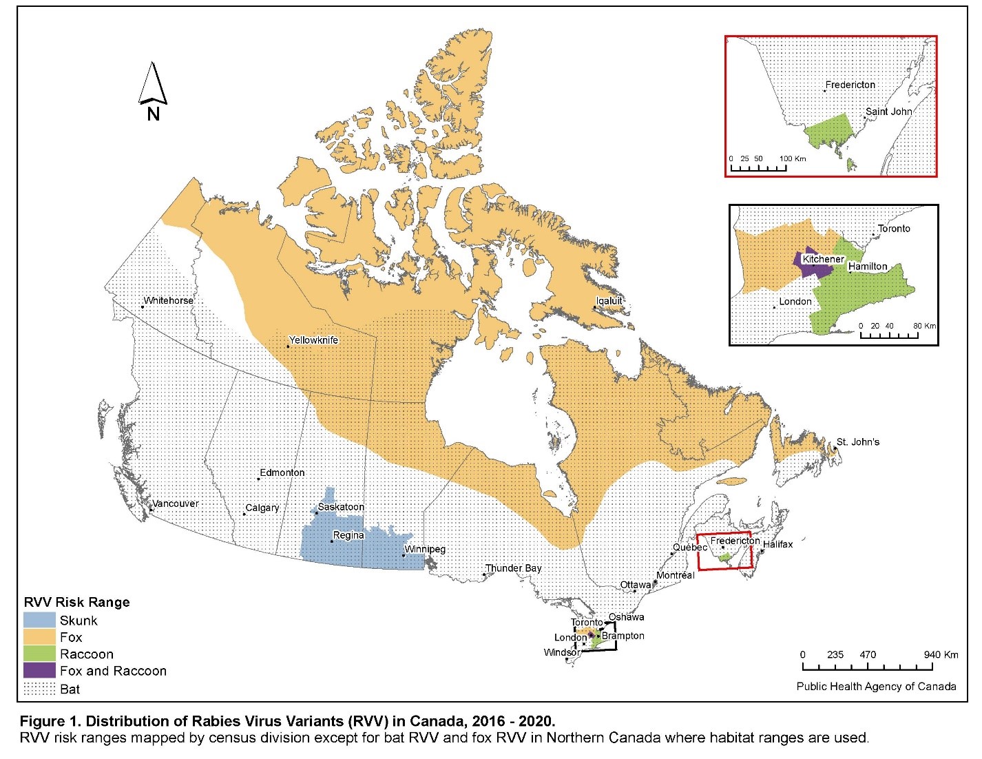 PMap of Canada showing rabies virus variant risk range.